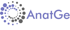 AnatGE Logo